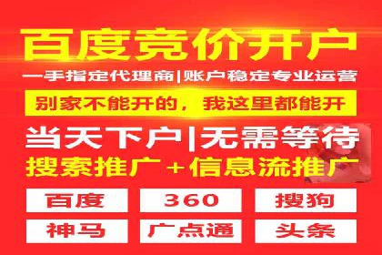 某科技公司SEM策略调整，实现业务快速增长