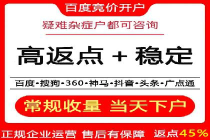 百度竞价推广在电商领域的赚钱案例